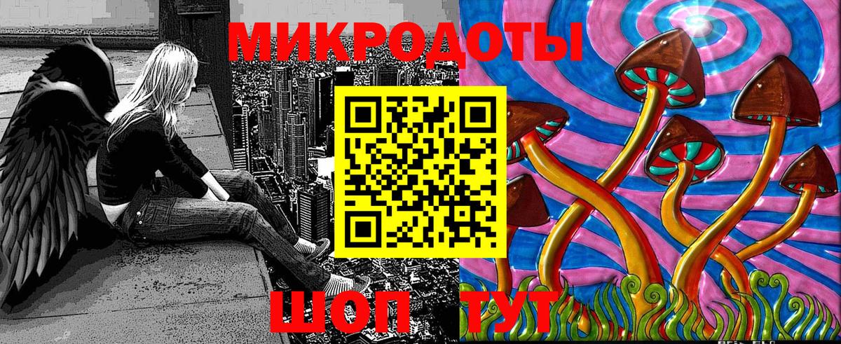 Псилоцибиновые грибы Cubensis Верхняя Пышма