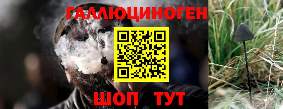 Галлюциногенные грибы прущие грибы  Вход с VPN  Верхняя Пышма  Галлюциногенные грибы Cubensis 